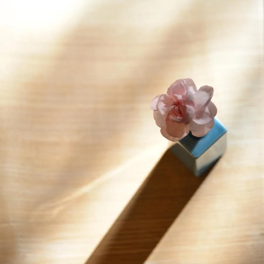 בית הארחה קיוטו Ryokan Nishijin - Vacation Stay 46289V